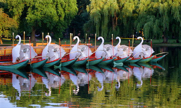 swan-boats-of-boston.jpg